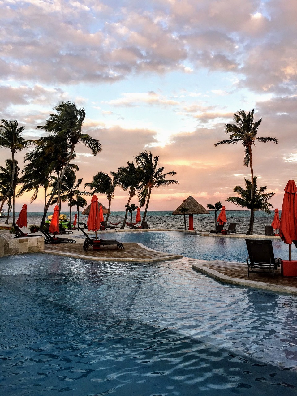 pool, palm trees, beach, nature, ocean, hotel, resort, water, sunset, relaxation